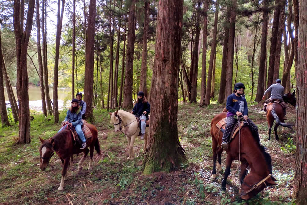 Cavalgadas Aventoriba - Hotel Toriba em Campos do Jordão'