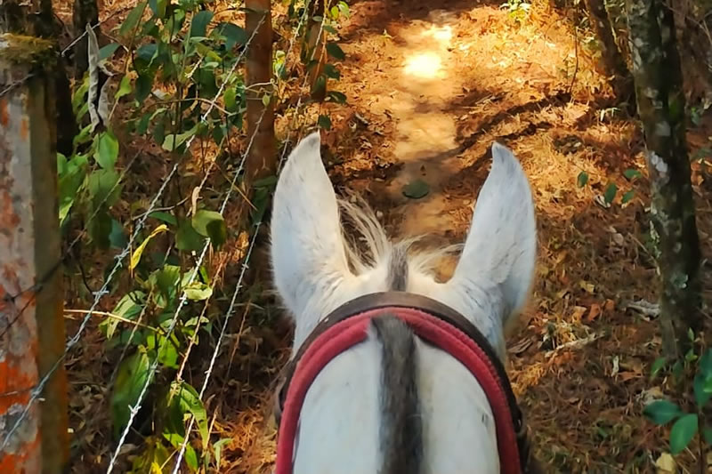 Cavalgadas Aventoriba - Hotel Toriba em Campos do Jordão'