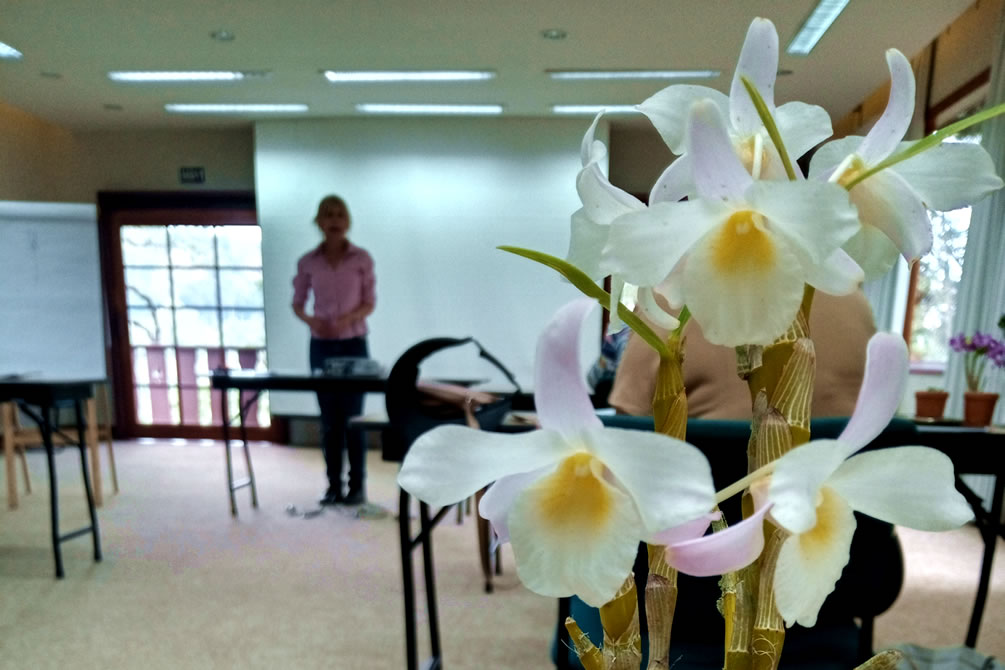 Oficina de Jardinagem - Hotel Toriba em Campos do Jordão'