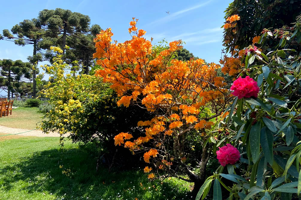 Oficina de Jardinagem - Hotel Toriba em Campos do Jordão'