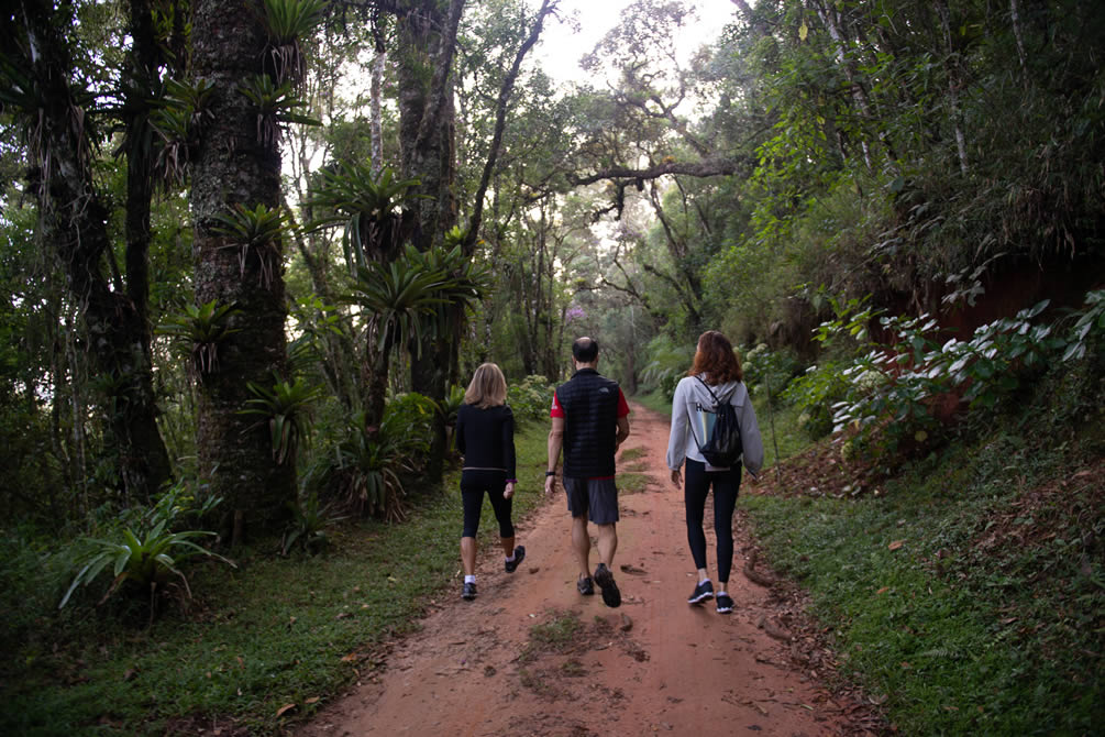 Programa Wellness - Hotel Toriba em Campos do Jordão'