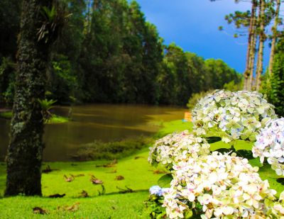 Parque Bambuí - Hotel Toriba em Campos do Jordão