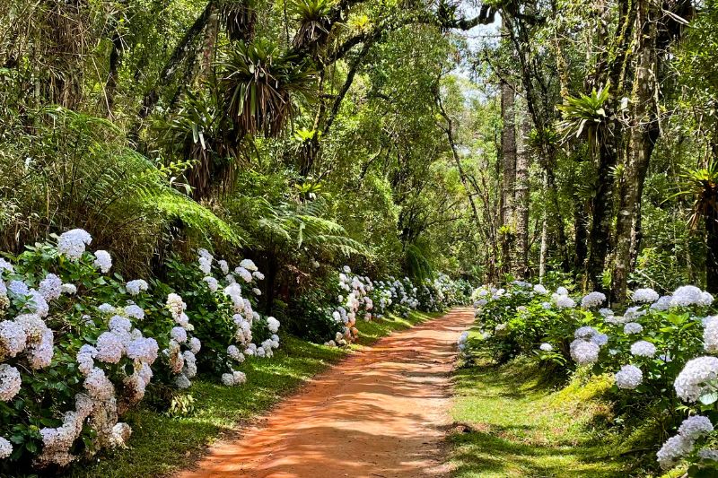Trilhas Sítio Siriúba - Hotel Toriba em Campos do Jordão