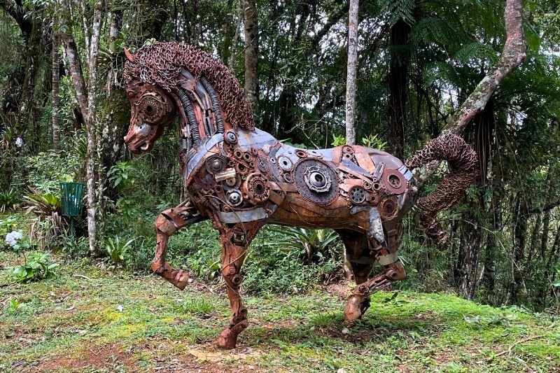 Trilhas Sítio Siriúba - Hotel Toriba em Campos do Jordão