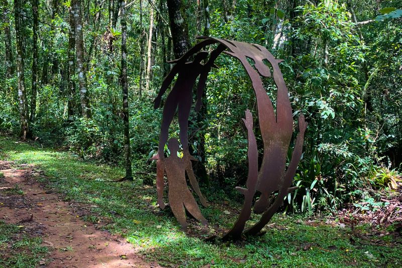 Trilhas Sítio Siriúba - Hotel Toriba em Campos do Jordão
