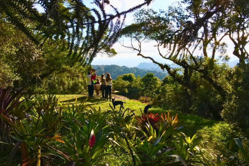 Trilhas Sítio Siriúba - Hotel Toriba em Campos do Jordão