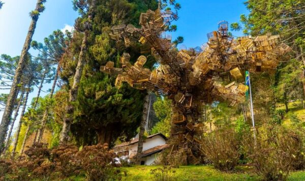 Parque Bambuí em Campos do Jordão