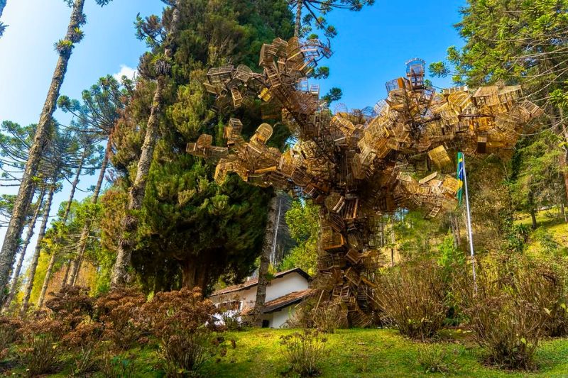 Parque Bambuí em Campos do Jordão