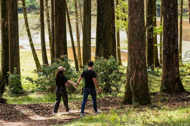 Parque Bambuí em Campos do Jordão