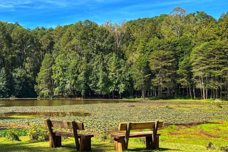 Parque Bambuí em Campos do Jordão