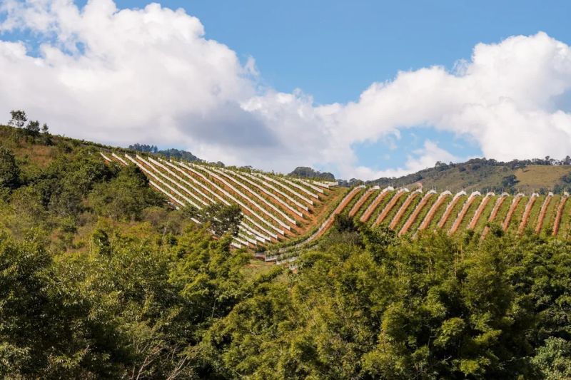 Visita à Vinícola Villa Santa Maria e Hotel Toriba em Campos do Jordão